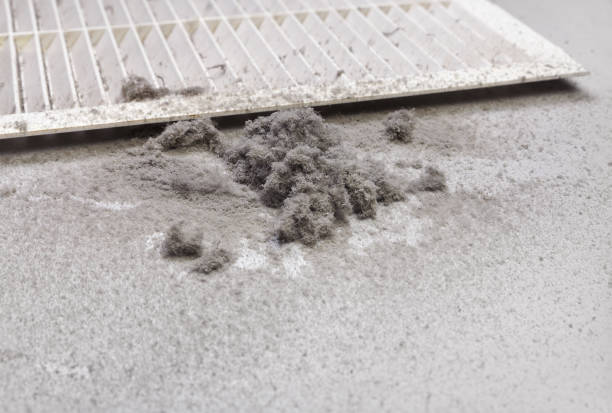 Best Local Air Duct Cleaning Services  in Jasper, AL