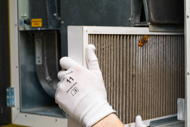 Best Air Duct Cleaning Near Me  in Jasper, AL