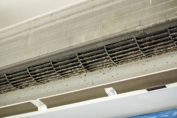 Trusted Jasper, AL Airduct Cleaning Experts