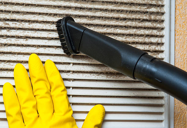 Best HVAC System Cleaning  in Jasper, AL